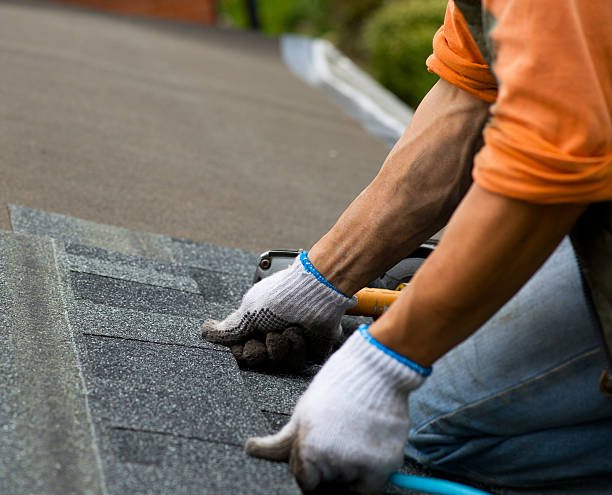 Best Gutter Installation and Roofing  in Ridgely, MD