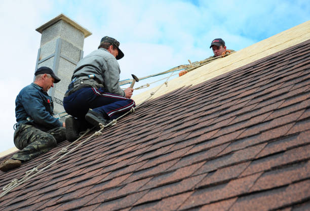 Quick and Trustworthy Emergency Roof Repair Services in Ridgely, MD